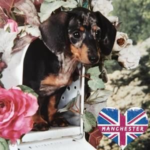 Meet your Posher, Elizabeth